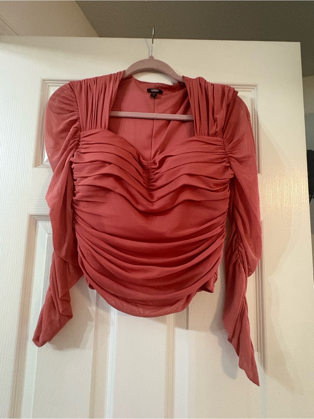 Express Ruched Long-Sleeve Blouse in Dusty Rose